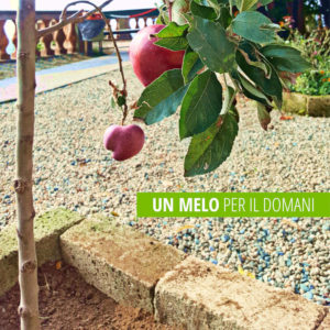 Casa di Riposo RSA Castello di Valperga: un “melo per il domani”