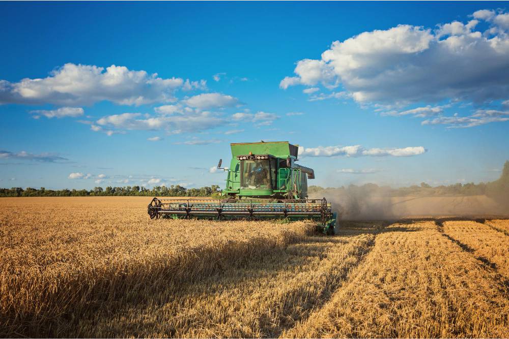 agricoltura